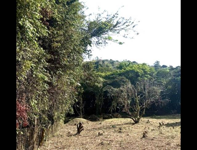 LAND FOR SALE IN PADFIELD PARK